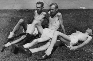 starvation-experiment_main